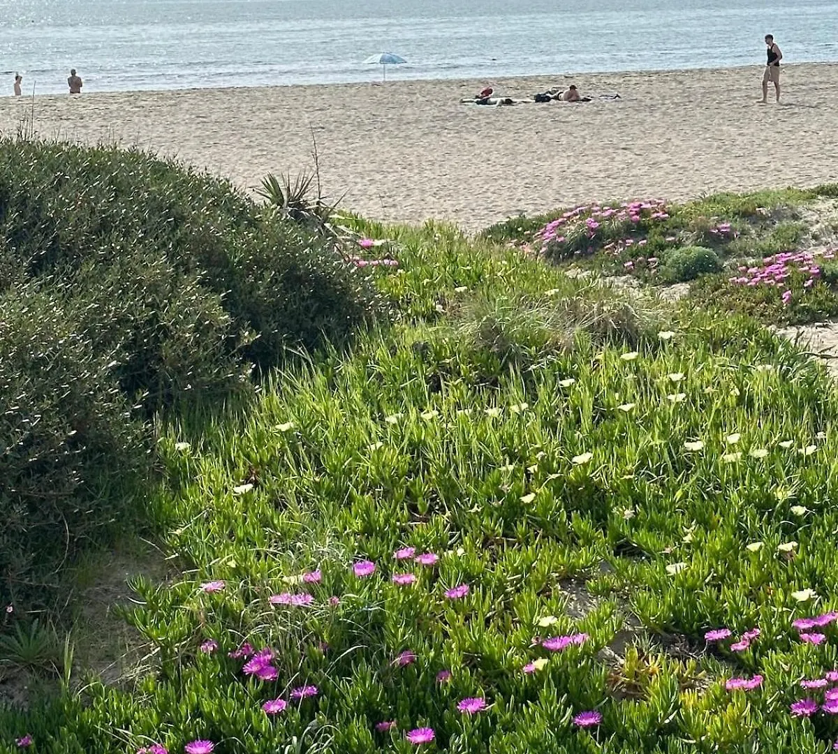 Alloggio By The Sea Focene Italy